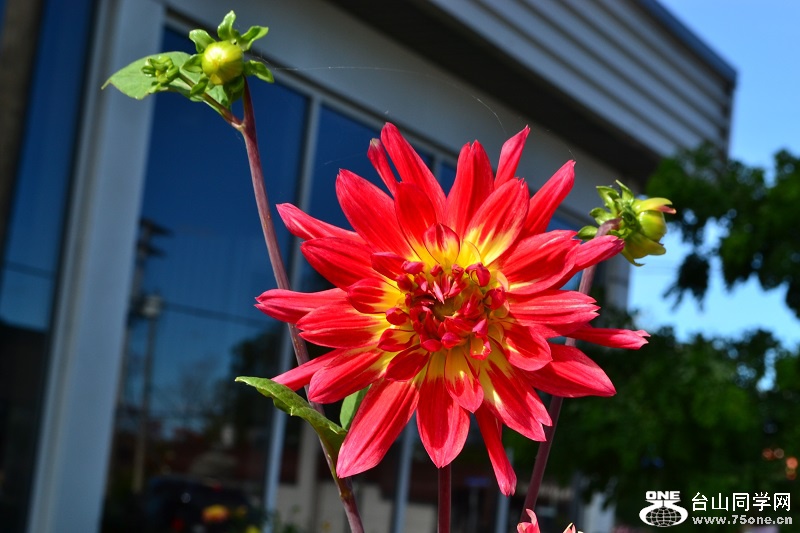 DSC_0030.JPG