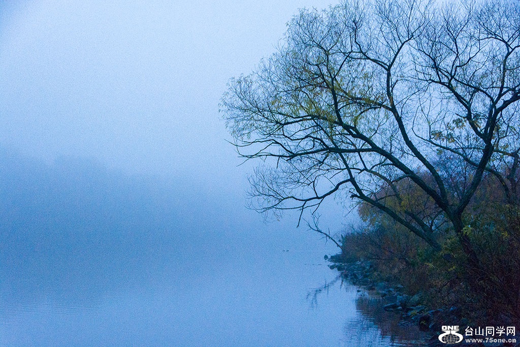 DSC_8762.jpg
