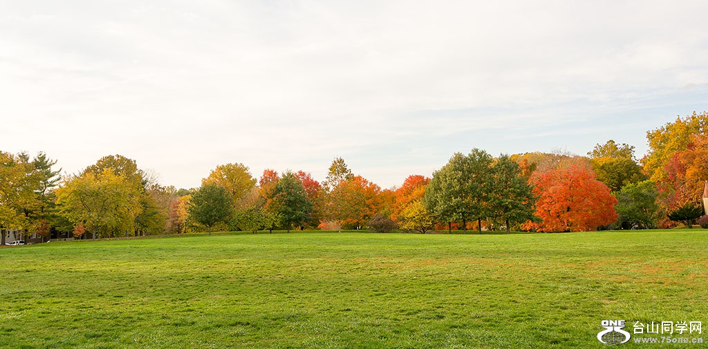 DSC_8745.jpg