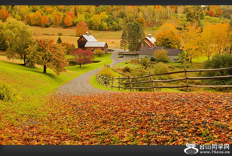 DSC_2440,_.jpg