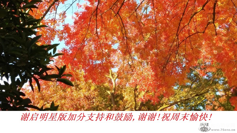 лǰӷֺ֧͹,лл!ףĩ!.jpg