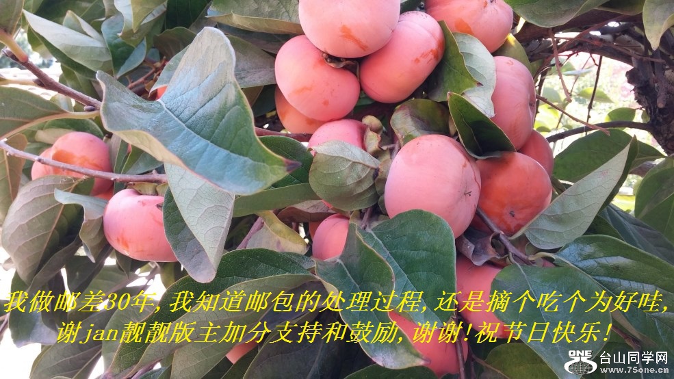 ʲ30,֪ʰĴ,ժԸΪ,лjanӷֺ֧͹,лл!ףտ!.j