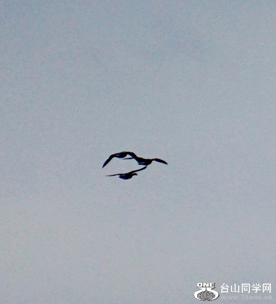 DSC00059.JPG