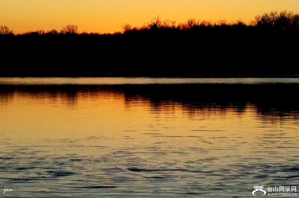 DSC09989.JPG