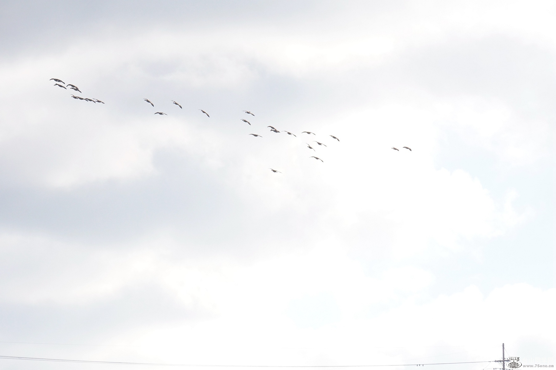 DSC00119.JPG