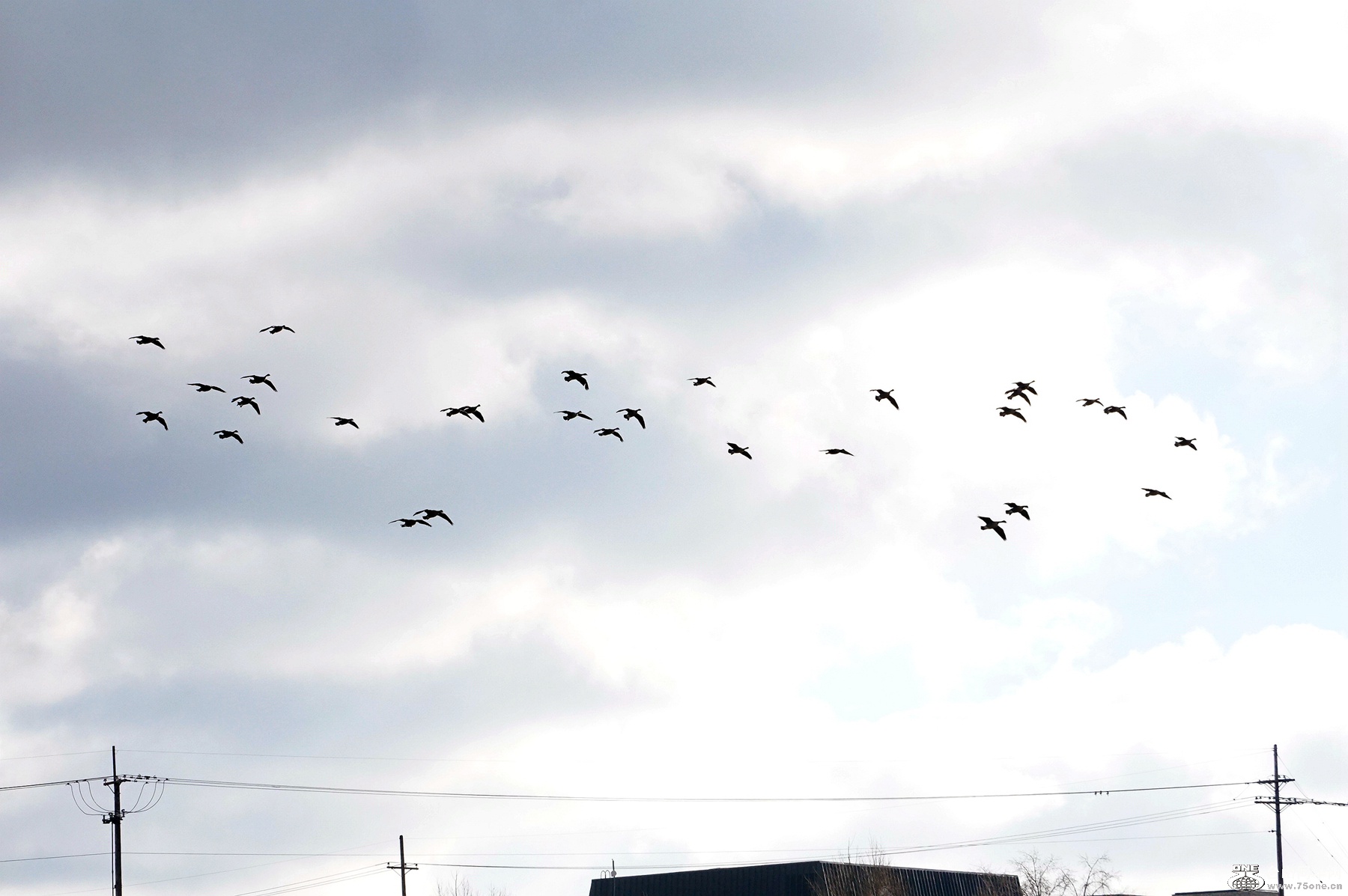 DSC00120.JPG