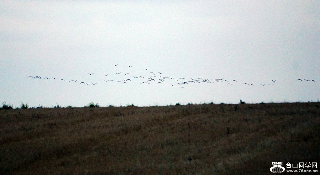DSC00055.JPG