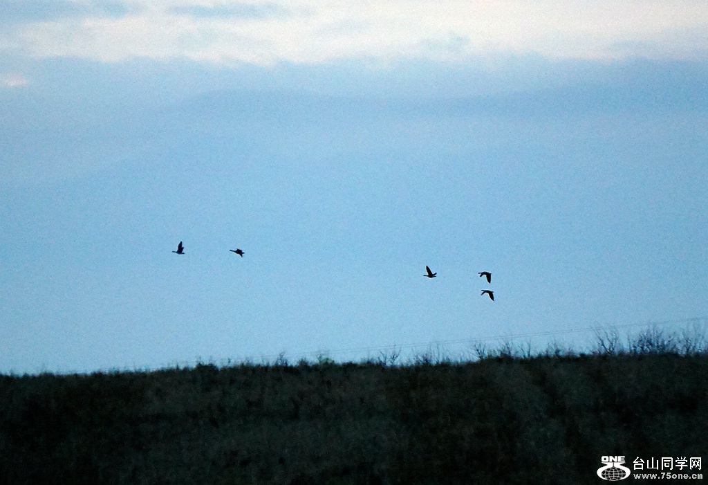 DSC00058.JPG