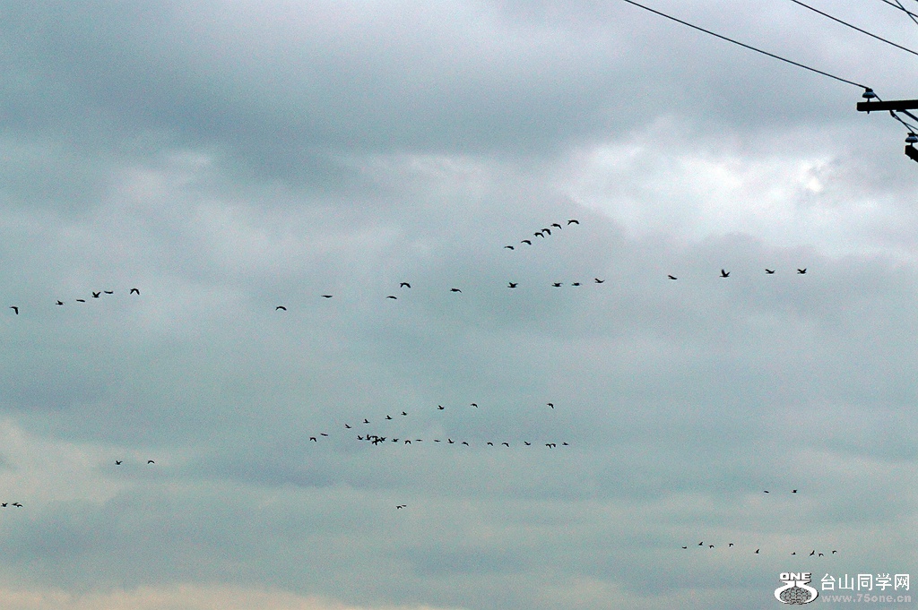DSC00051.JPG