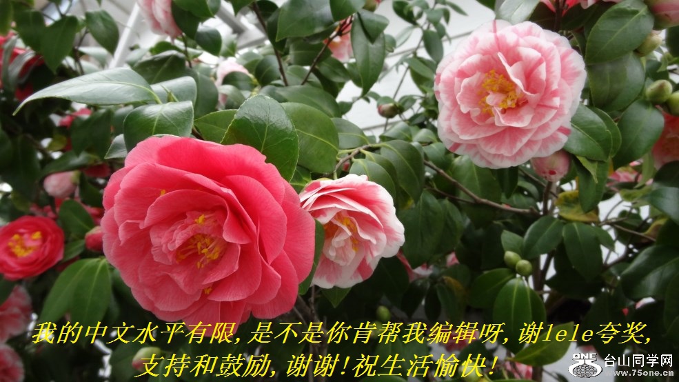 ҵˮƽ,ǲϰұ༭ѽ,лlele佱,ֺ֧͹,лл!ף!.jpg