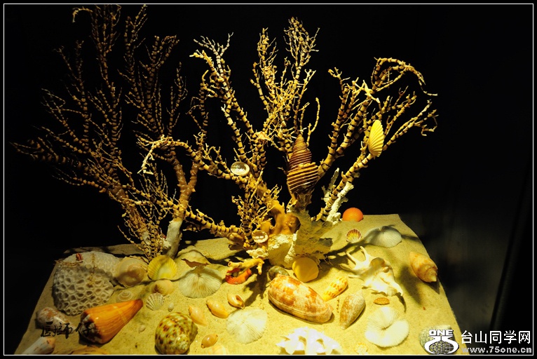 DSC_7563.jpg