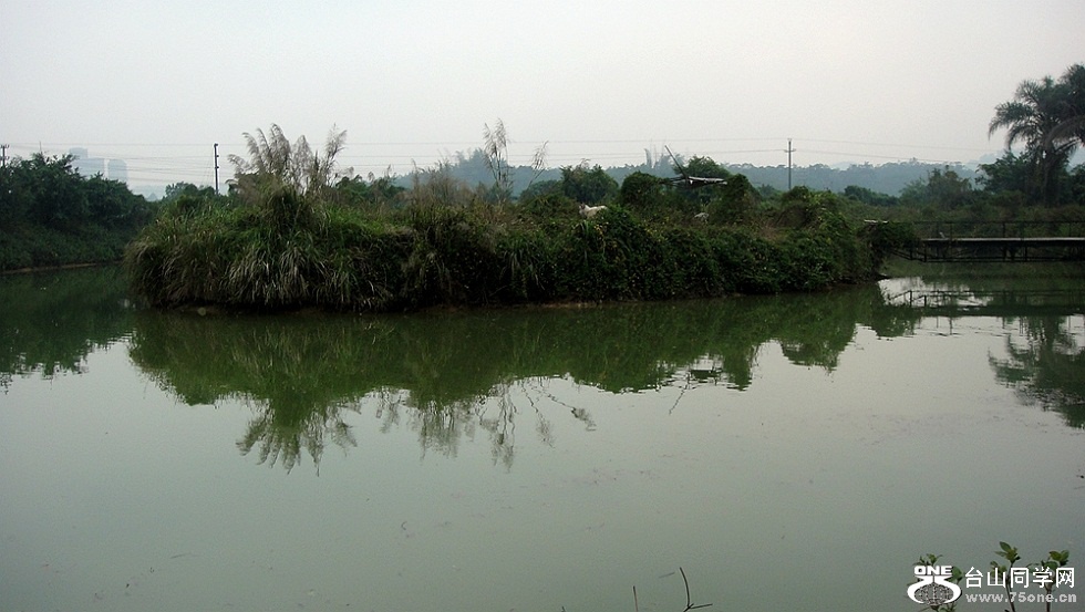 DSC03434_.jpg