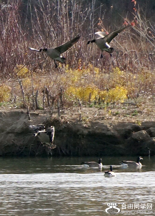 DSC00124_a.jpg