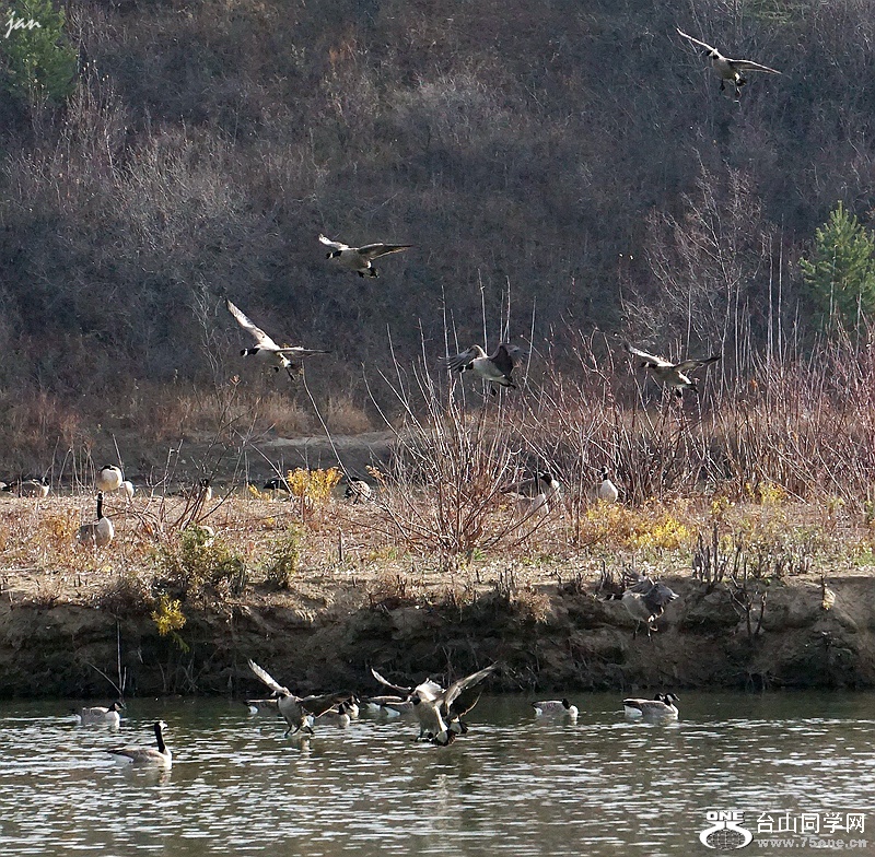 DSC00122_a.jpg