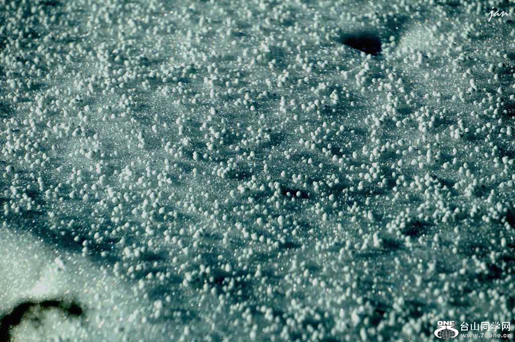 DSC00656.JPG