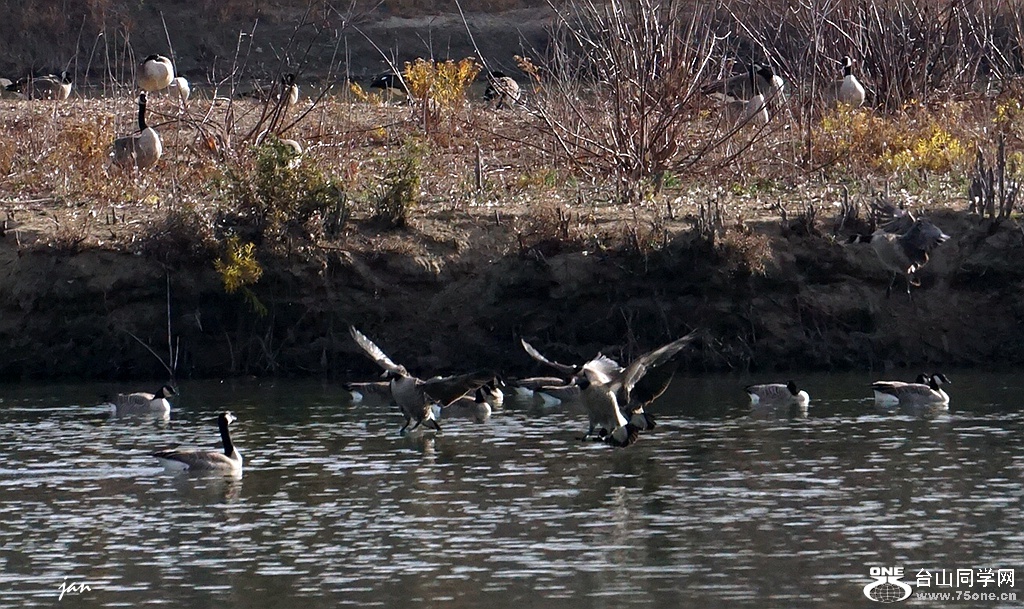 DSC00122_b.jpg