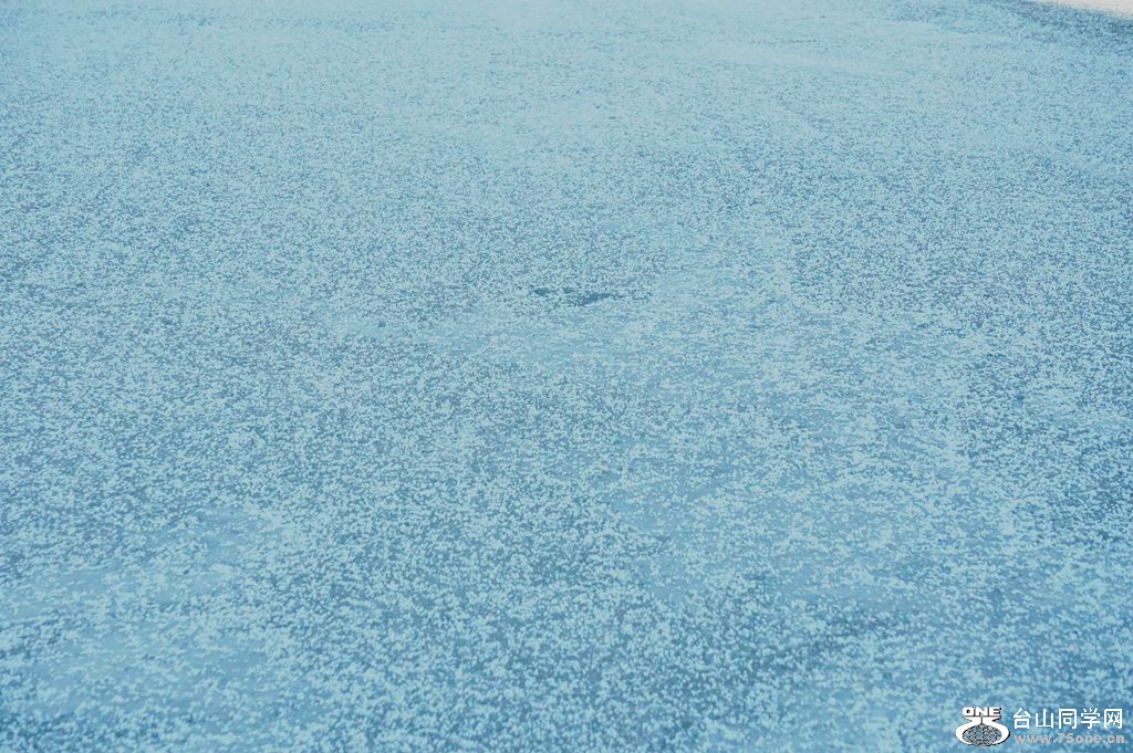 DSC00640.JPG
