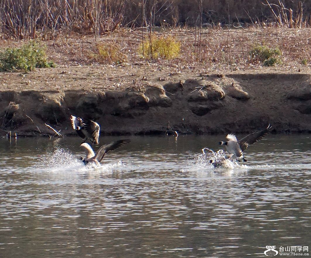 DSC00123_a.jpg