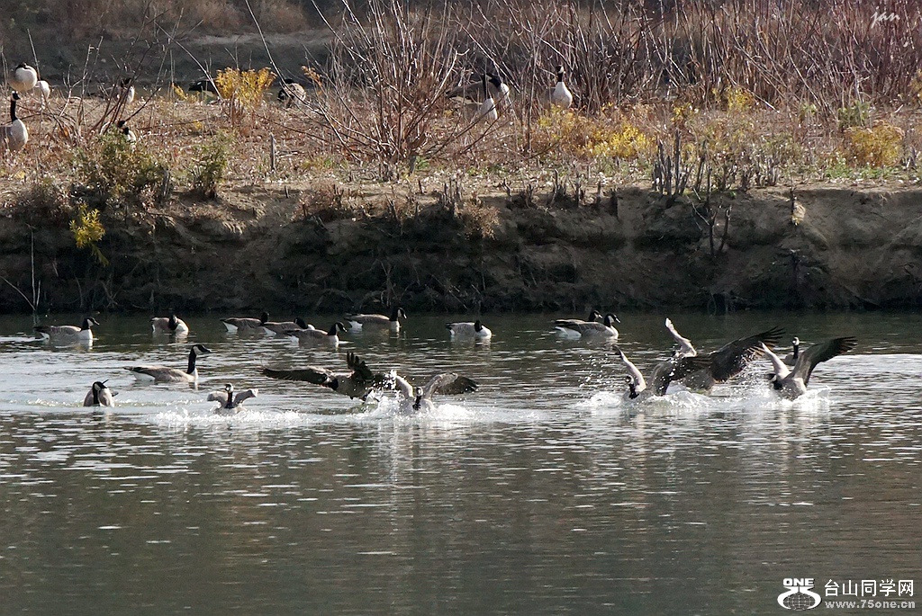 DSC00124_b.jpg