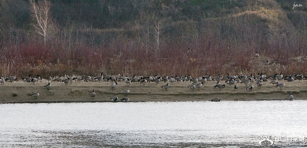 DSC00110_a.jpg