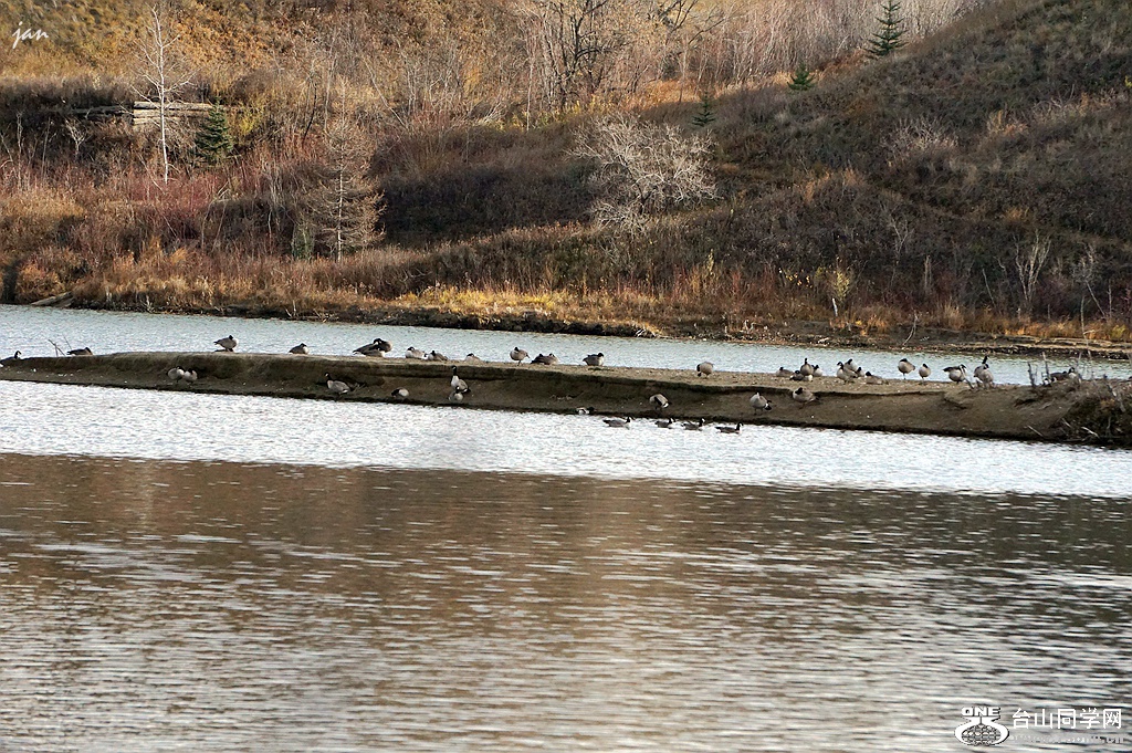 DSC00114_a.jpg