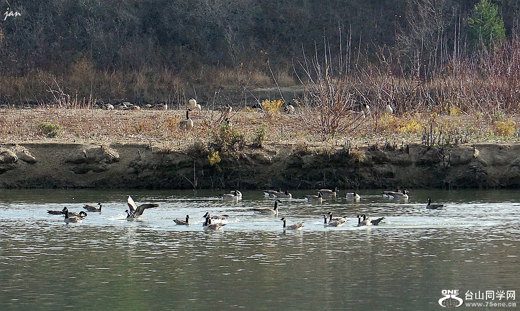 DSC00125.JPG