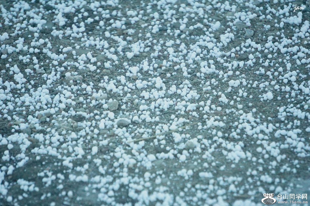 DSC00641.JPG