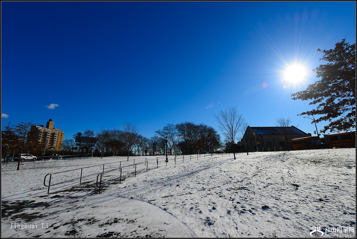 DSC_5396.jpg