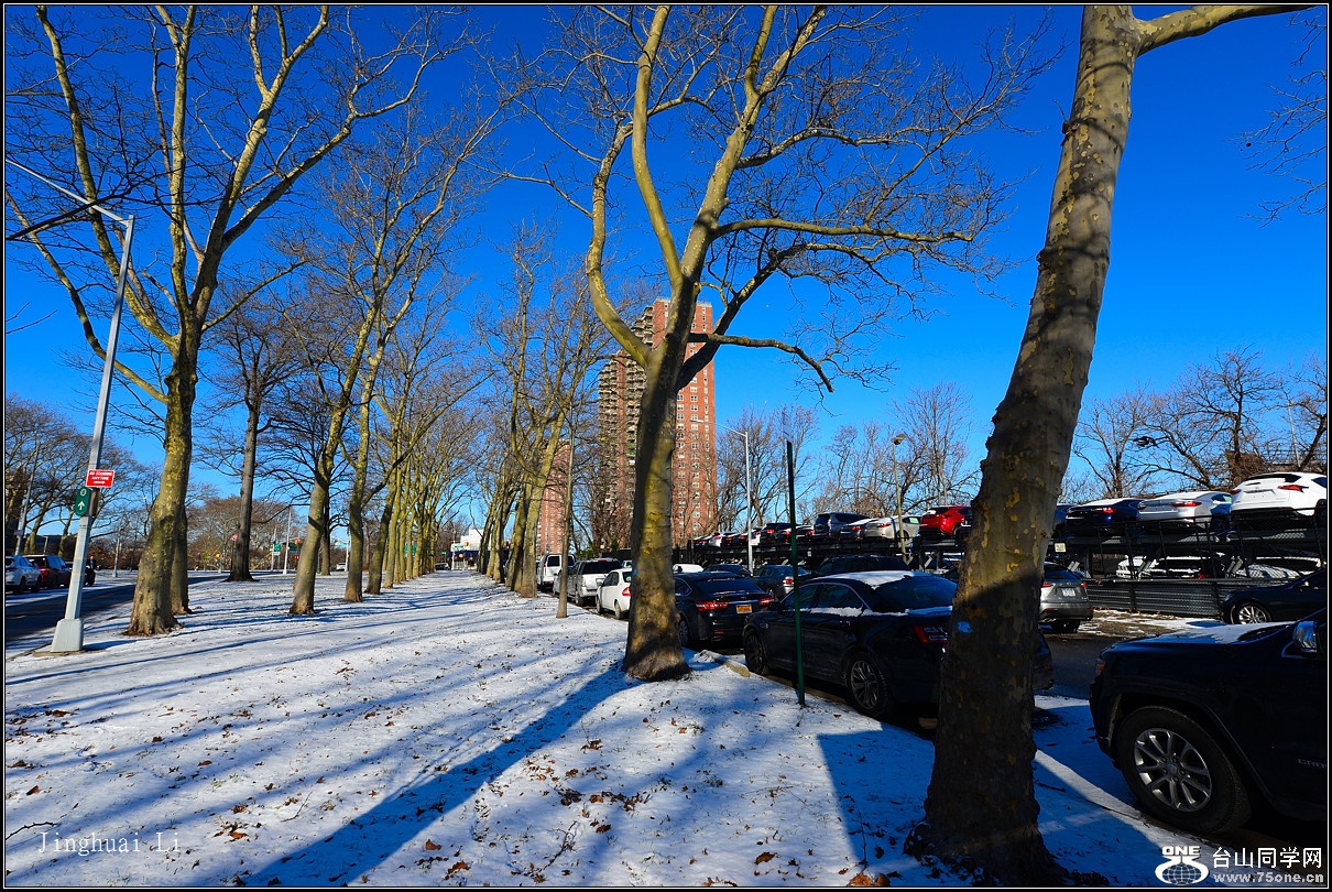 DSC_5435.jpg