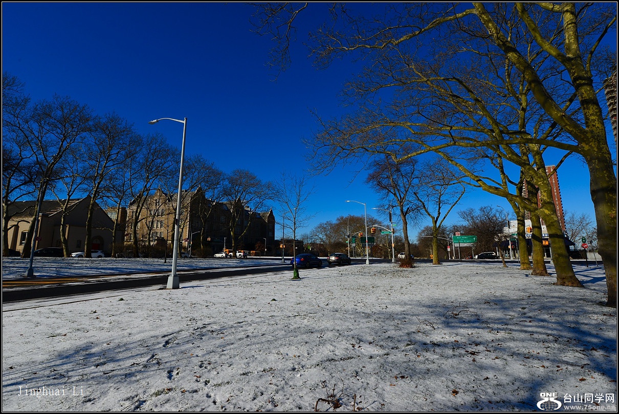 DSC_5441.jpg