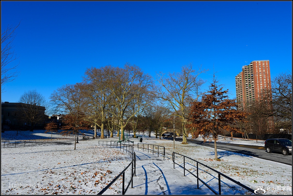 DSC_5401.jpg