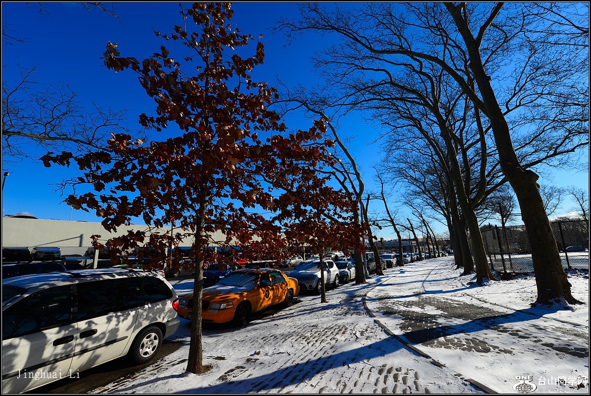 DSC_5433.jpg