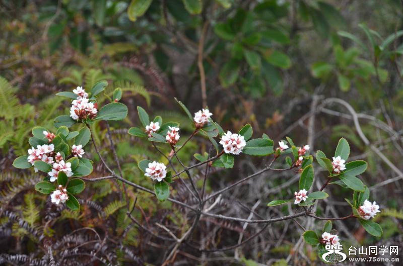DSC_0499.jpg