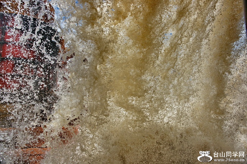 DSC_8354.jpg