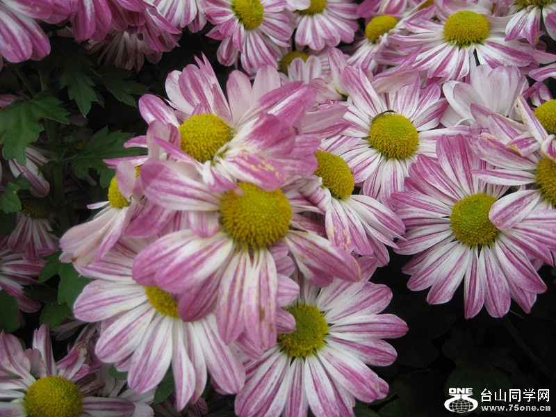 2015; 054_.jpg