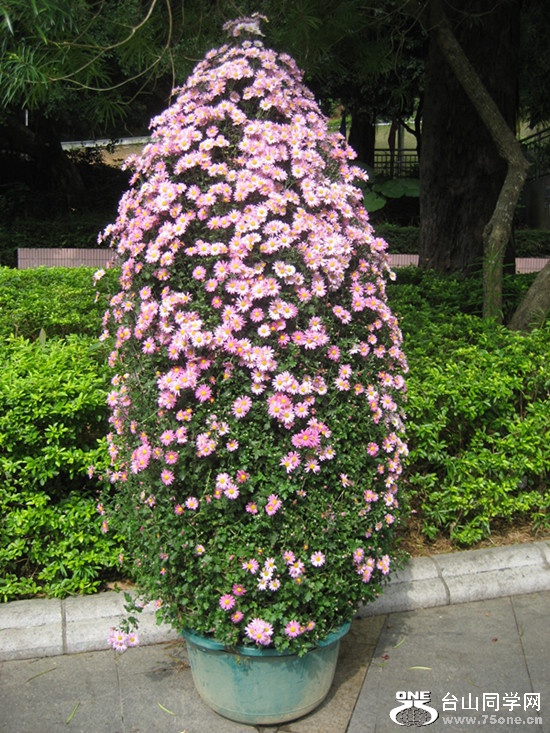 2015; 009_.jpg