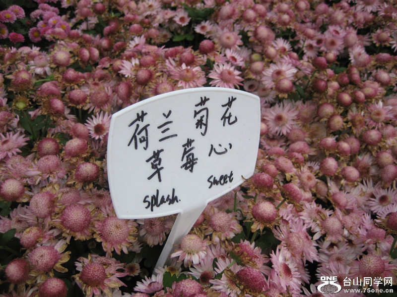 2015; 042_.jpg