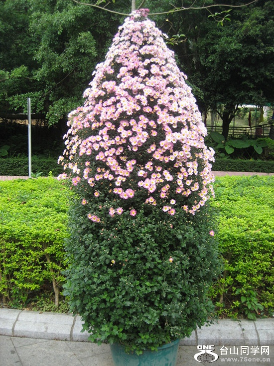 2015; 006_.jpg