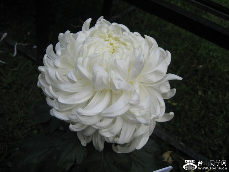 ԰ 064_.jpg