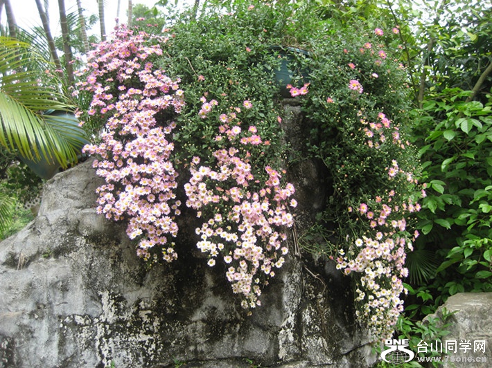 2015; 063_.jpg