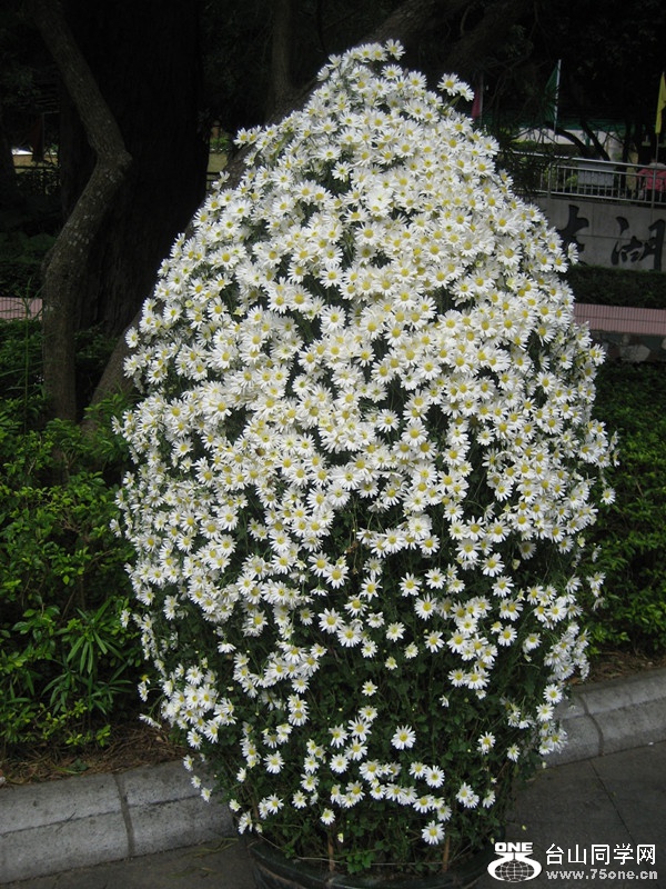 2015; 008_.jpg