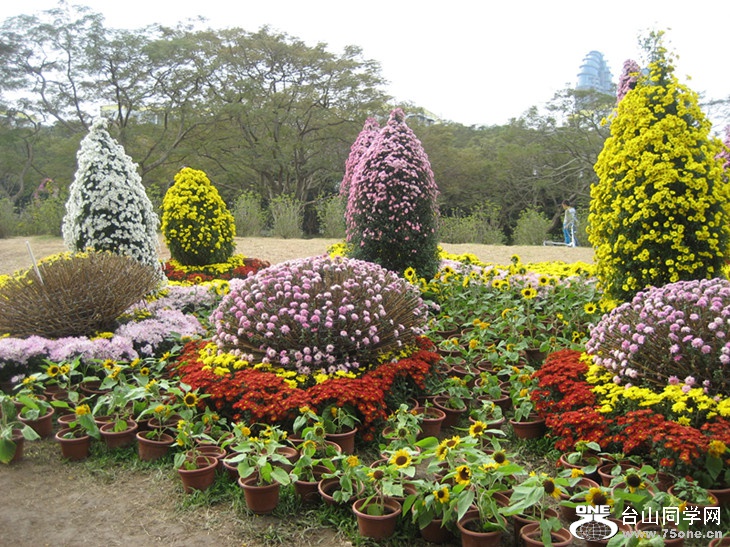 2015; 029_.jpg