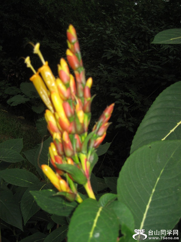 2015 009_.jpg