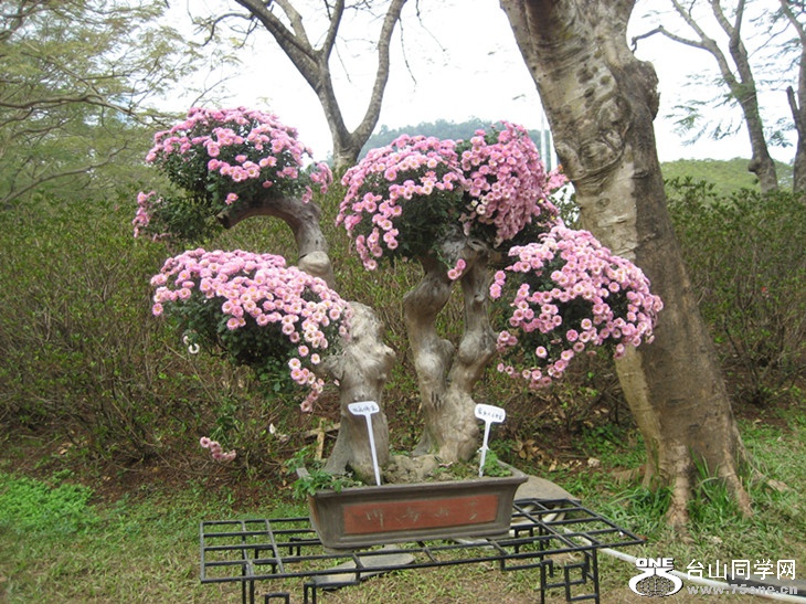2015; 058_.jpg