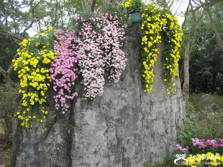 2015; 039_.jpg