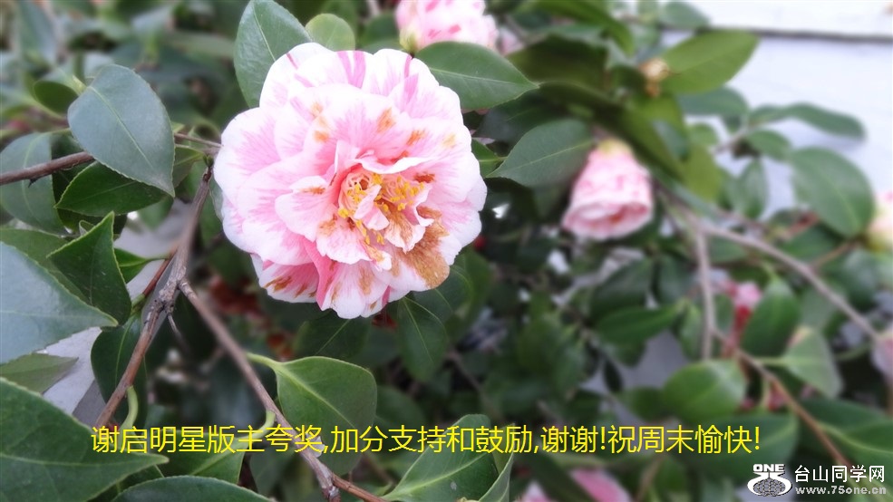 лǰ佱,ӷֺ֧͹,лл!ףĩ!.jpg