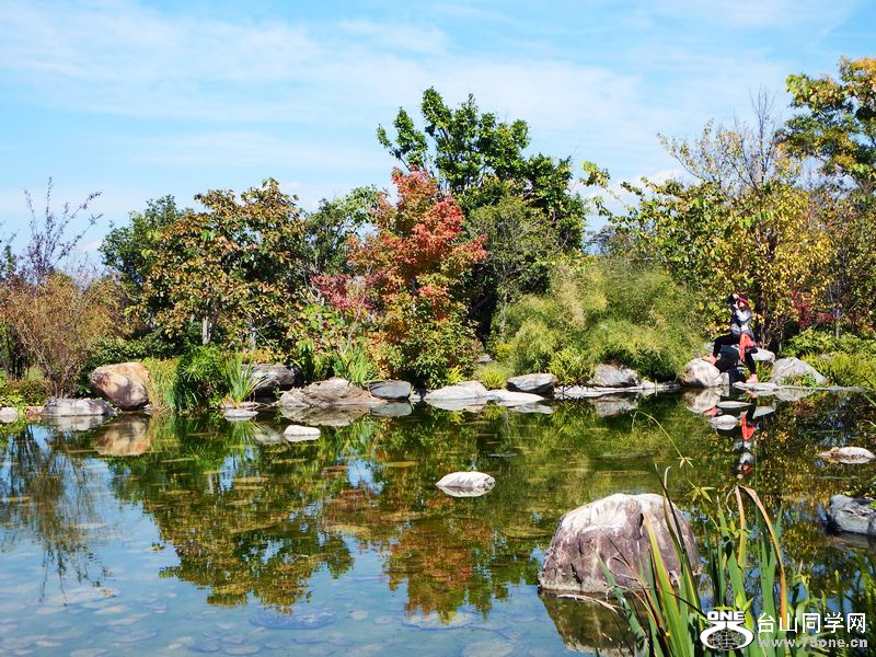 DSCF8995.jpg