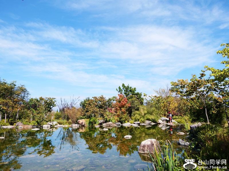 DSCF8994.jpg