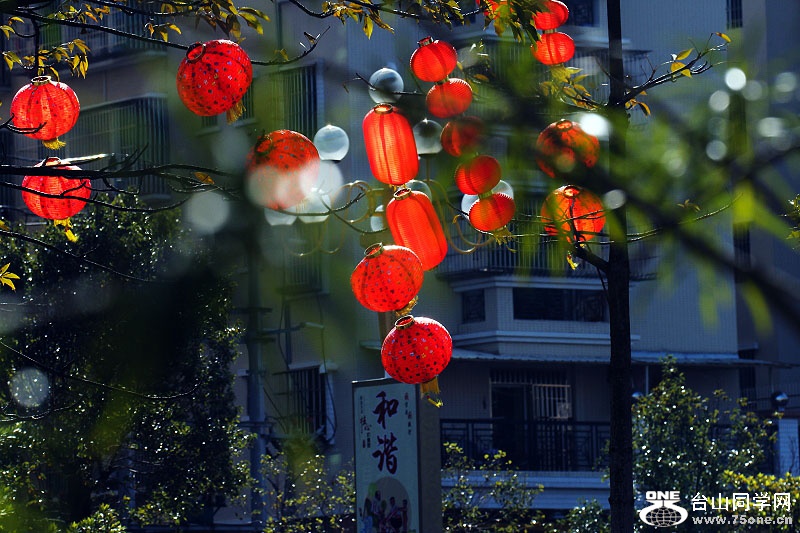 DPP_201.2.50207.JPG