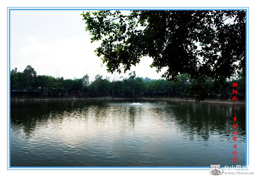 DPP_201.2.50401_.jpg